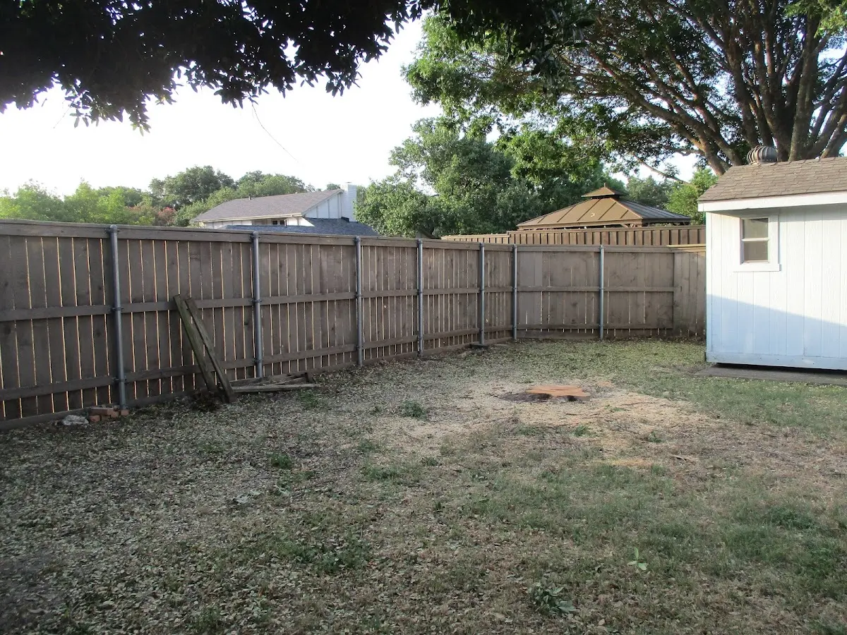Cleared yard after professional tree removal in Palm